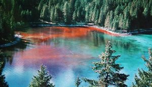 lago tovel trentino lago rosso Alla scoperta del Lago di Tovel, il mistero del Lago rosso